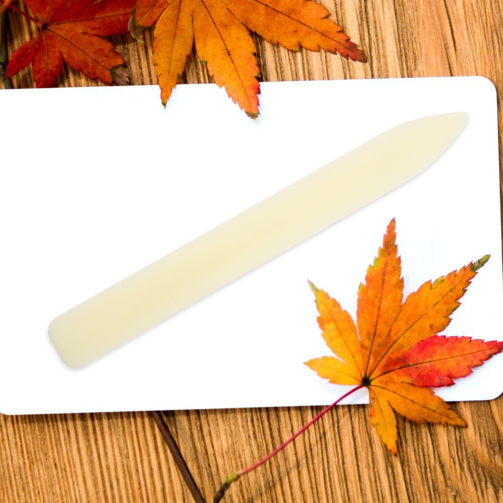 5 pcs Plastic Bone Folder Pape - đánh giá và giá Bone Folder Tool